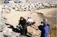 Scene_On_The_Beach.JPG (11424 bytes)